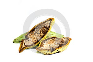 Cacoa white background in studio