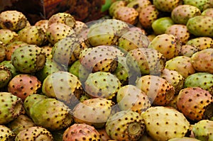 Cactaceous fig fruits in a Fez market