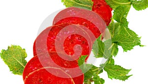 Cactaceous fig isolated on white background