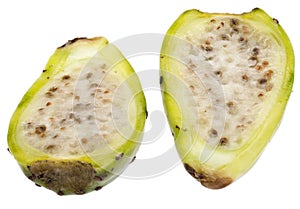 Cactaceous Fig Prickly Pear