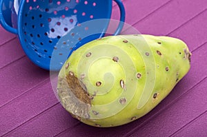 Cactaceous Fig Prickly Pear