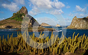 Cacti, Hat Hill and Hairy Island, Sueste Bay, Fernando de Noronha, Brazil