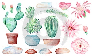 Cacti in pots hand drawn watercolor raster illustration set