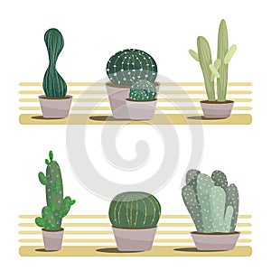 Cacti in pots set vector illustration isolated on white background