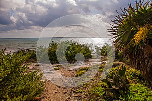 Cacti and ruins of the ancient Mayan city in the archaeological complex of Tulum. Riviera Maya, Yucatan, Mexico