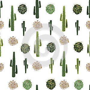 Cacti and tumbleweed seamless pattern