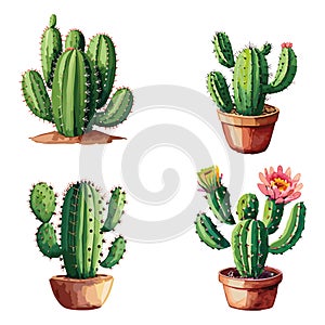 Cacti vector illustration. cactus