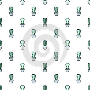 Cactoideae cactus pattern seamless