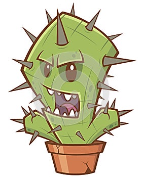 Cactus