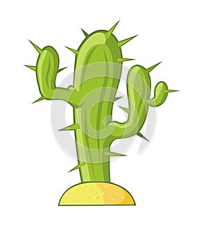 Cactus