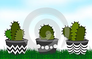 Cactus arrangements illustrations