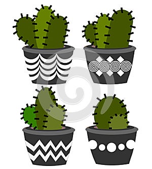 Cactus arrangements isolated