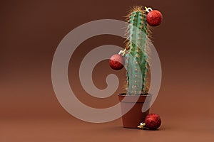 Cactus as Christmas tree with red balls on browm background. Christmas and New Year holidays celebration concept. Front view