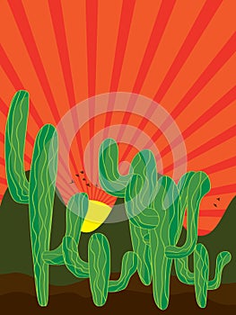 Cactus background sunray