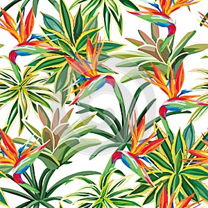 Cactus bird of paradise flowers seamless pattern white background photo