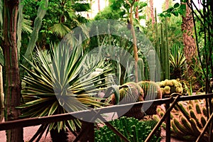 Cactus botanical garden marrakech