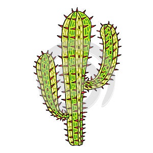 Cactus with branches and spikes flat color vector object