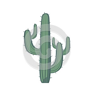 Cactus or cactoid plant vector illustration, cacti icon design, cute desert plants