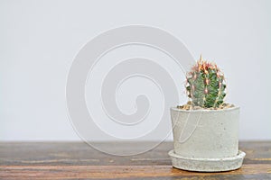 Cactus in cement pot on wooden table.