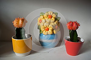 Cactus and ceramic flowers