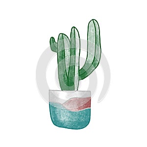 Cactus in clay pot hand drawn vector illustration. Home plant, room interior item, coziness attribute. Succulent in