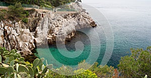 Cactus, cliffs, blue sea, and stairs, blue mediterranean sea , French riviera , France.