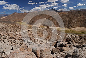 Cactus on the colourful valley of Quebrada de Humahuaca in Jujuy Province, northern Argentina