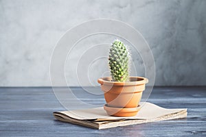 Cactus on copybook front