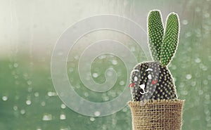 Cactus with cute face cartoon on a rainy day with water drop