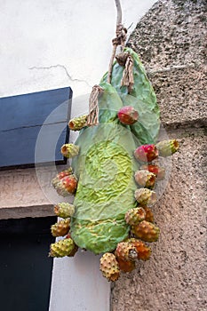 Cactus decor at house entrance