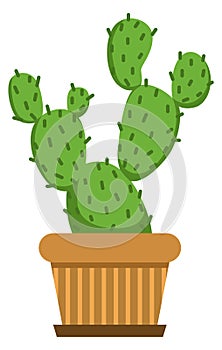 Cactus in decorative pot. Green home succulent icon