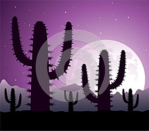 Cactus in desert