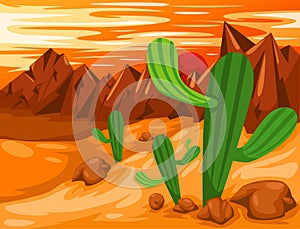 Cactus in desert