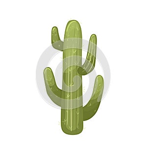 cactus desert cartoon vector illustration