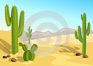 Cactus in the desert. natural background