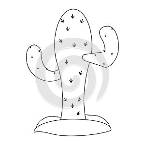 Cactus desert plant in black and white