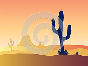 Cactus desert sunset