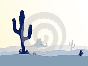 Cactus desert sunset