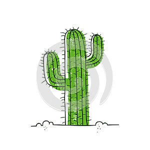 Cactus in desert. Vector hand-drawn cartoon style illustration isolated on white background