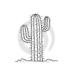 Cactus in desert. Vector hand-drawn cartoon style illustration isolated on white background