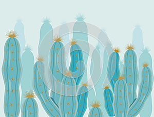 cactus deserts plants