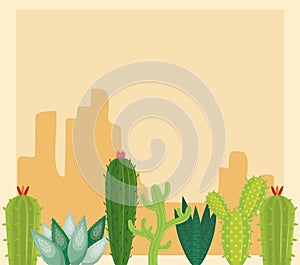 Cactus in desertscape scenery