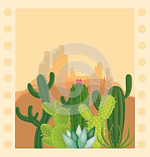 Cactus in desertscape scenery