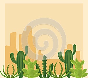 Cactus in desertscape scenery