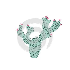 Cactus in doodle style. Cute prickly green cactus. Cacti flower isolated on white background