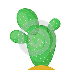 Cactus flat illustration on white background