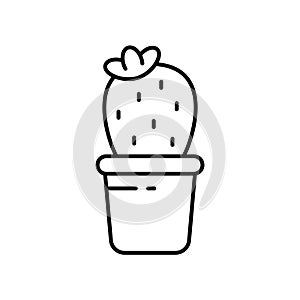 Cactus with flower in pot. Linear icon of houseplants. Black simple illustration of botany, plant care, bloom. Symbol for packing