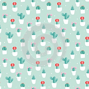 Cactus flower vases seamless pattern