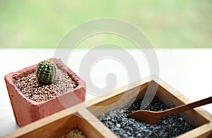 Cactus in flowerpot and Tray of colorful fine stone or grit for creating beautiful plant pot