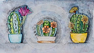 cactus flowers in pots in watercolor style. The illustration is hand-drawn and in watercolor paints.